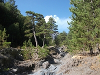 rrente Quarantore-20110911 009